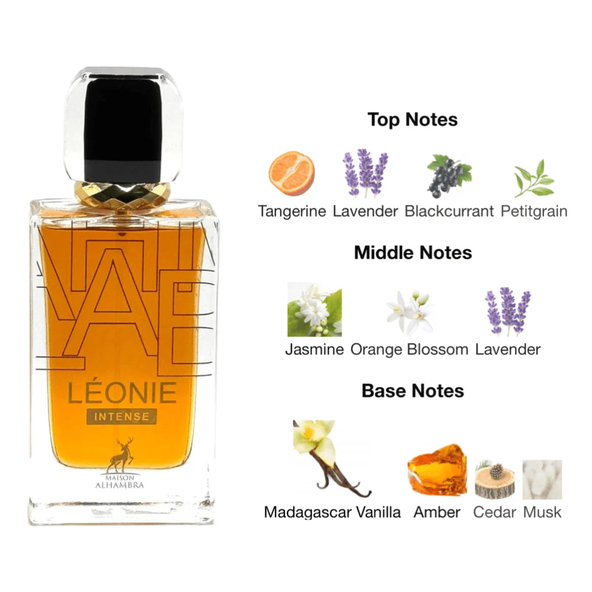 Léonie intense de Lattafa / Maison Alhambra pour Femme