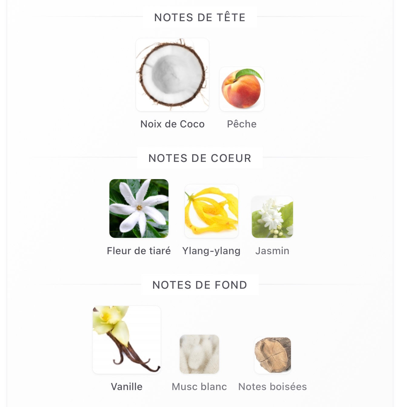 Montaigne Coco Maison Alhambra pour femme