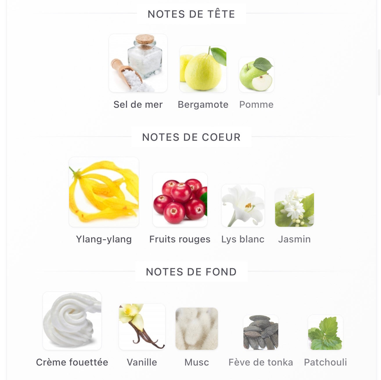 Club de Nuit Precieux IV Armaf pour femme